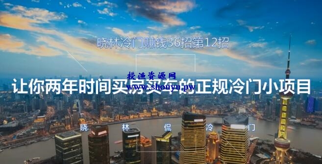 晓林冷门赚钱36招第12招让你两年时间买车买房的的正规冷门小项目【视频课程】