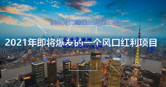 晓林冷门赚钱36招第27招2021年即将爆发的一个风口红利项目【视频课程】