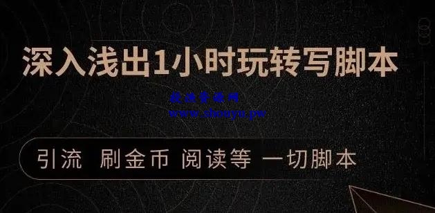 王半圈1小时深入浅出视频实操讲解，教你0基础学会写引流脚本