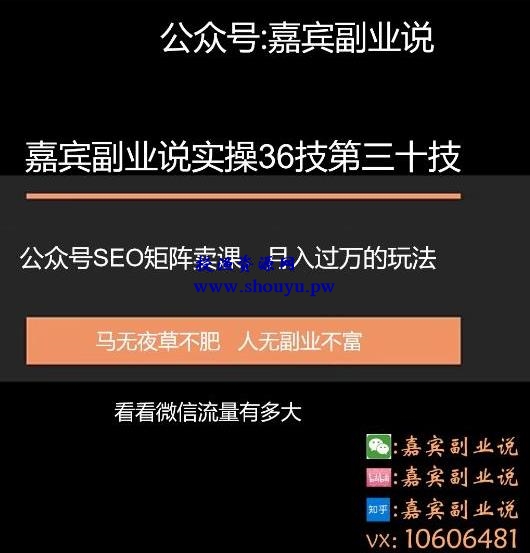 嘉宾副业说实操36技第三十技：公众号SEO矩阵卖课，月入过万的玩法实操