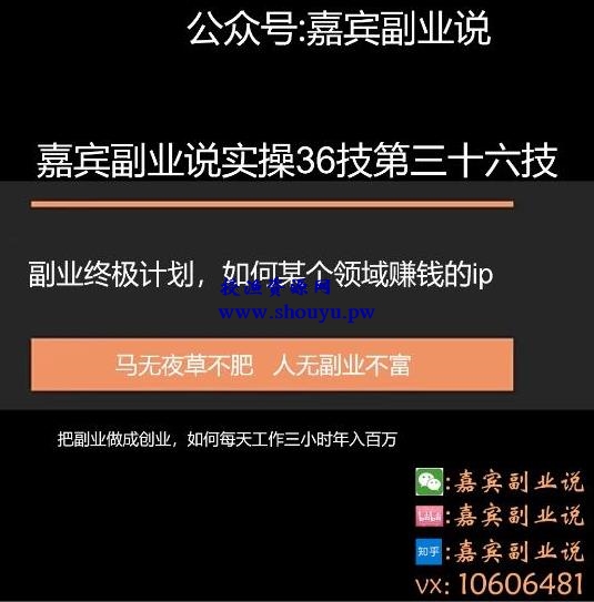 嘉宾副业说实操36技第三十六技：副业终身计划，把副业做成创业如何做某个领域的赚钱ip