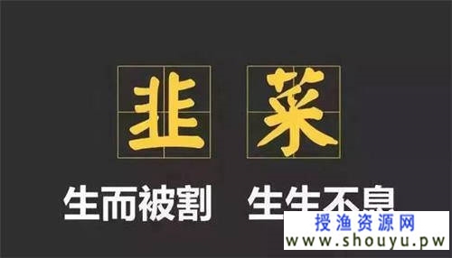 创业黑洞：可能你就是那个得了韭菜妄想症的人