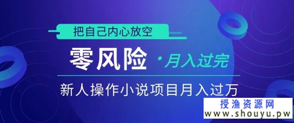 新人操作小说项目月入过万