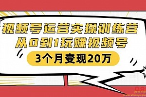 财神大咖会·视频号运营实操训练营：从0到1玩赚视频号，3个月变现20万