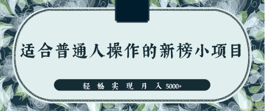 分享一个适合普通人操作的赚钱项目，新手也能轻松实现月入5000+【视频教程】