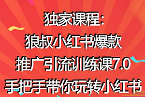 狼叔小红书爆款推广引流训练课7.0，手把手带你玩转小红书