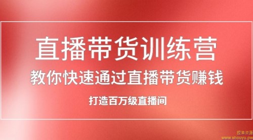 直播带货训练营，教你快速通过直播带货赚钱，打造百万级直播间