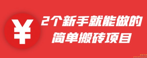 2个新手就能做的简单搬砖项目，没技术含量