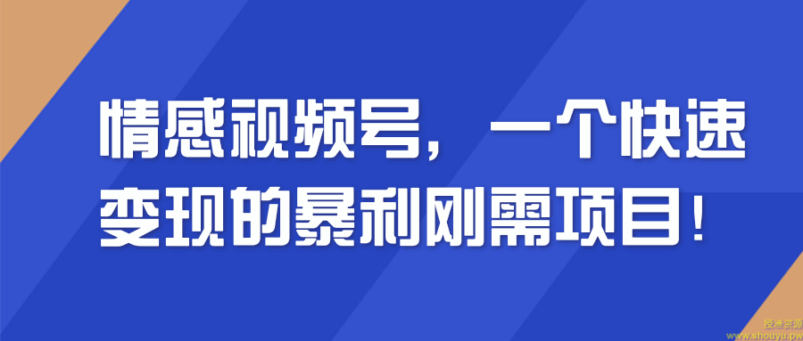 情感视频号，一个快速变现的暴利刚需项目！【视频教程】