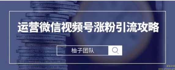 手把手教你运营微信视频号涨粉引流攻略，轻松涨粉10W+【视频课程】